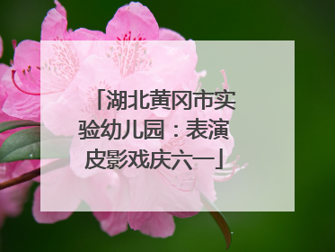 湖北黄冈市实验幼儿园：表演皮影戏庆六一
