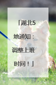 湖北5地通知：调整上班时间！
