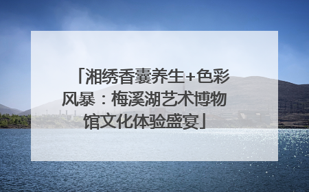 湘绣香囊养生+色彩风暴：梅溪湖艺术博物馆文化体验盛宴
