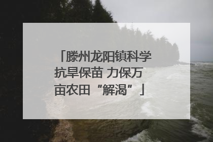 滕州龙阳镇科学抗旱保苗 力保万亩农田“解渴”