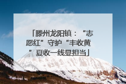 滕州龙阳镇：“志愿红”守护“丰收黄”夏收一线显担当