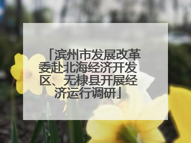 滨州市发展改革委赴北海经济开发区、无棣县开展经济运行调研