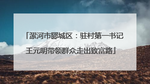 漯河市郾城区：驻村第一书记王元明带领群众走出致富路
