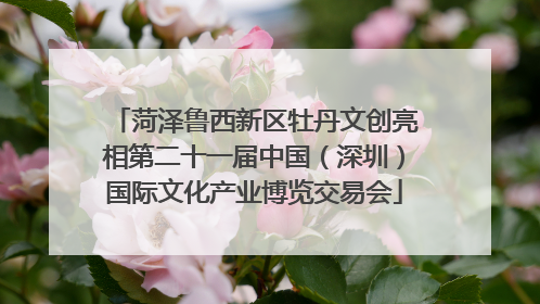 菏泽鲁西新区牡丹文创亮相第二十一届中国（深圳）国际文化产业博览交易会