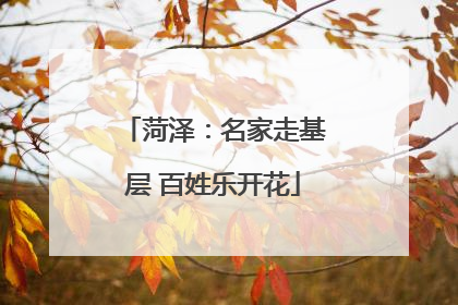 菏泽：名家走基层 百姓乐开花