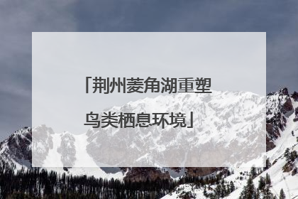 荆州菱角湖重塑鸟类栖息环境
