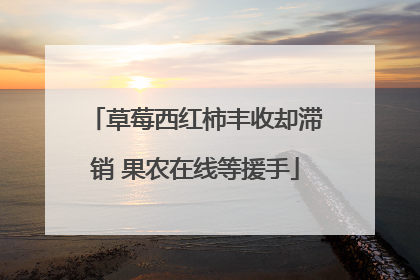草莓西红柿丰收却滞销 果农在线等援手