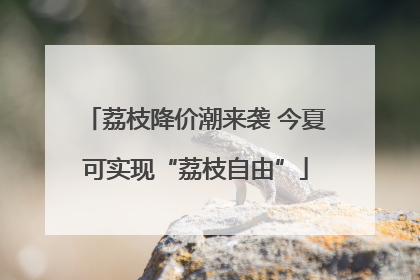 荔枝降价潮来袭 今夏可实现“荔枝自由”