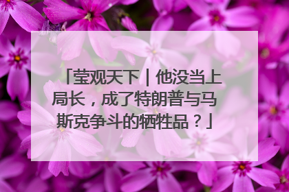 莹观天下｜他没当上局长，成了特朗普与马斯克争斗的牺牲品？