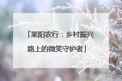 莱阳农行：乡村振兴路上的微笑守护者