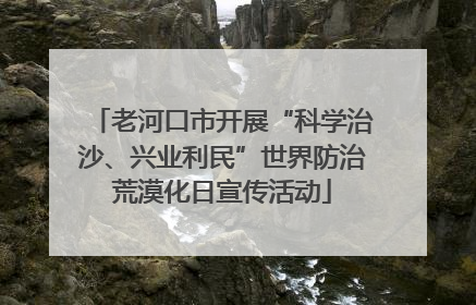 老河口市开展“科学治沙、兴业利民”世界防治荒漠化日宣传活动