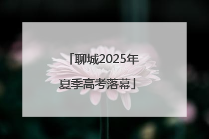 聊城2025年夏季高考落幕