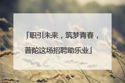 职引未来，筑梦青春，普陀这场招聘助乐业