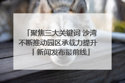 聚焦三大关键词 沙湾不断推动园区承载力提升丨新闻发布最前线