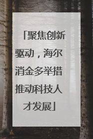 聚焦创新驱动，海尔消金多举措推动科技人才发展
