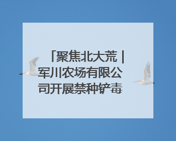 聚焦北大荒｜军川农场有限公司开展禁种铲毒排查宣传行动