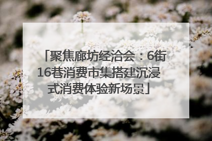 聚焦廊坊经洽会：6街16巷消费市集搭建沉浸式消费体验新场景