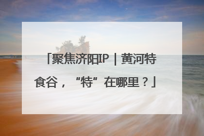 聚焦济阳IP｜黄河特食谷，“特”在哪里？