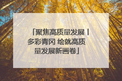 聚焦高质量发展丨多彩青冈 绘就高质量发展新画卷