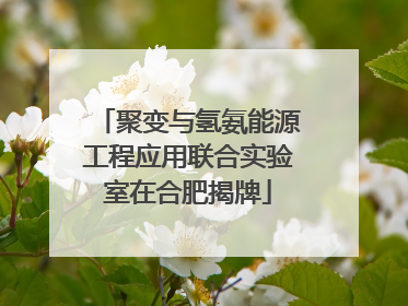 聚变与氢氨能源工程应用联合实验室在合肥揭牌
