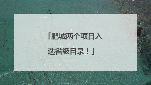 肥城两个项目入选省级目录！