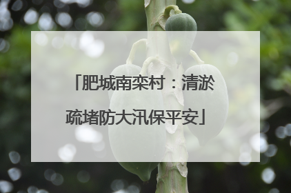 肥城南栾村：清淤疏堵防大汛保平安
