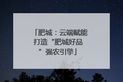 肥城：云端赋能 打造“肥城好品”强农引擎