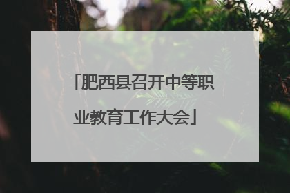 肥西县召开中等职业教育工作大会