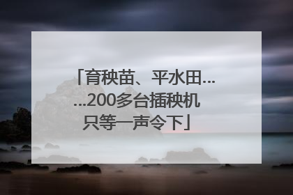 育秧苗、平水田……200多台插秧机只等一声令下