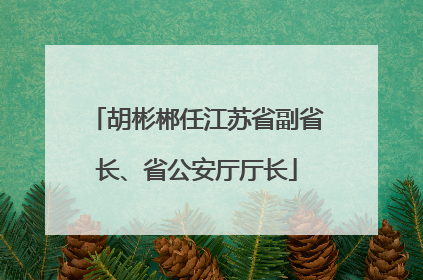 胡彬郴任江苏省副省长、省公安厅厅长