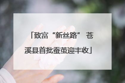 致富“新丝路” 苍溪县首批蚕茧迎丰收