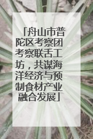舟山市普陀区考察团考察联舌工坊，共谋海洋经济与预制食材产业融合发展