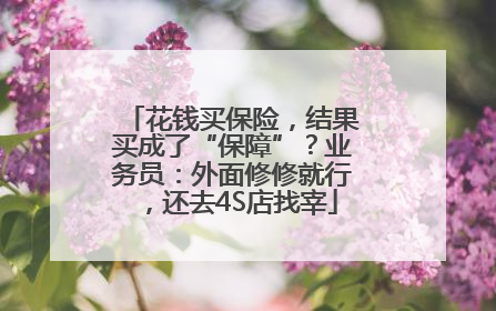 花钱买保险，结果买成了“保障”？业务员：外面修修就行，还去4S店找宰