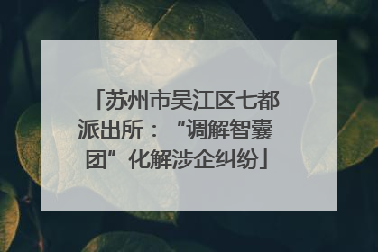 苏州市吴江区七都派出所：“调解智囊团”化解涉企纠纷