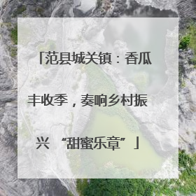 范县城关镇：香瓜丰收季，奏响乡村振兴 “甜蜜乐章”