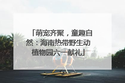 萌宠齐聚，童趣自然：海南热带野生动植物园六一献礼