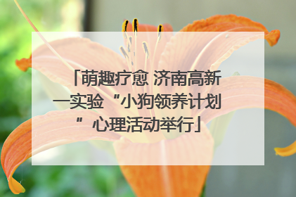 萌趣疗愈 济南高新一实验“小狗领养计划”心理活动举行