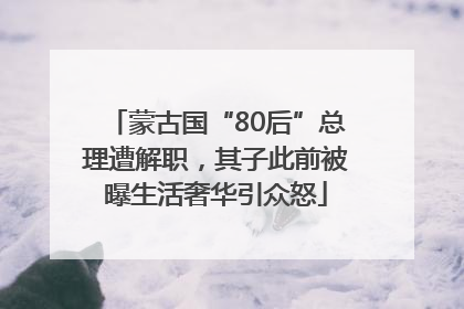 蒙古国“80后”总理遭解职，其子此前被曝生活奢华引众怒