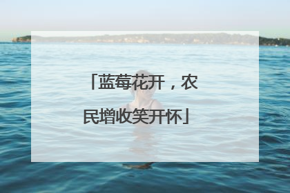 蓝莓花开，农民增收笑开怀