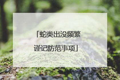 蛇类出没频繁 谨记防范事项