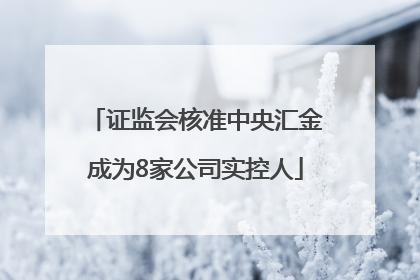 证监会核准中央汇金成为8家公司实控人