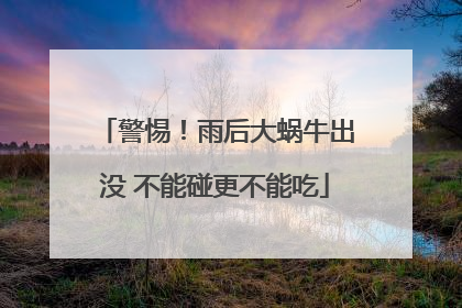 警惕！雨后大蜗牛出没 不能碰更不能吃