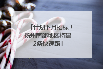 计划下月招标！扬州南部地区将建2条快速路