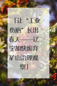 让“工业伤疤”长出春天——辽宁加快废弃矿山治理观察