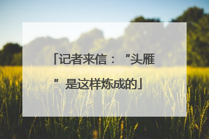 记者来信：“头雁”是这样炼成的