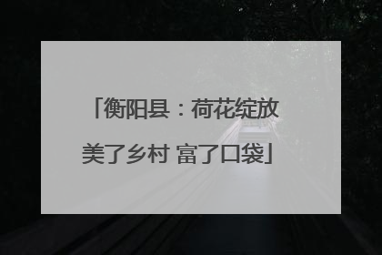 衡阳县：荷花绽放 美了乡村 富了口袋