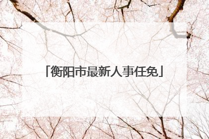 衡阳市最新人事任免