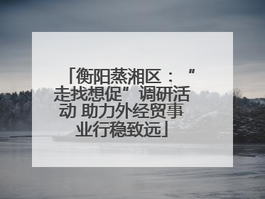 衡阳蒸湘区：“走找想促”调研活动 助力外经贸事业行稳致远