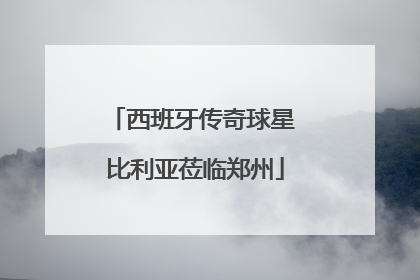 西班牙传奇球星 比利亚莅临郑州