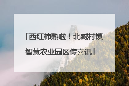 西红柿熟啦！北臧村镇智慧农业园区传喜讯